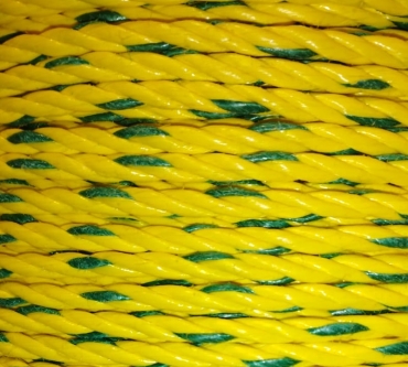 Soga Manila Golden #5