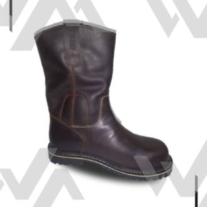 Bota cusiana