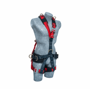 PAR-PLFC-P4.1
