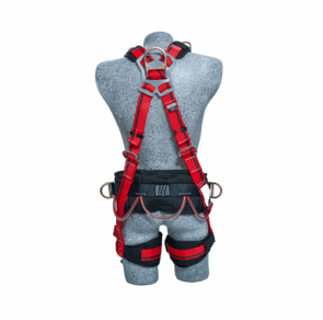 PAR-PLFC-P4.2