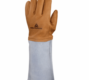 resized_image_500px_2