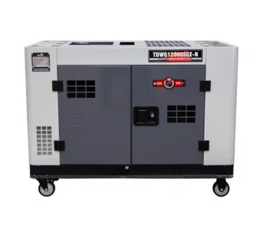 Generador_TDWG12000SGE-N_254-009_03