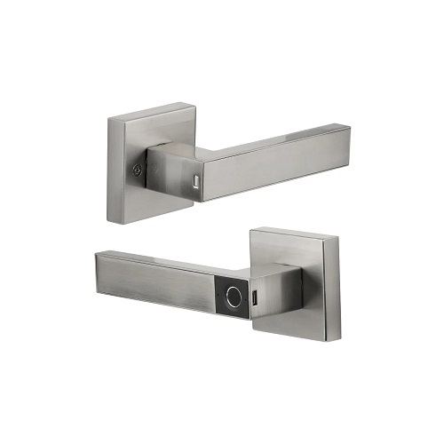 Manija Bari Biométrica Plateada Yale