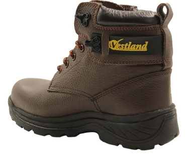 tomcat-6169-A4-8704-02