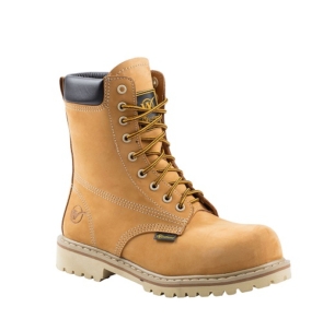 tomcat-8019-a4-3008-01