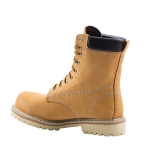 tomcat-8019-a4-3008-02