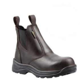 TOMCAT_8979_A4_8204_CAFE-01