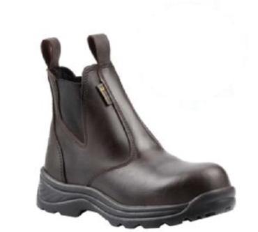 TOMCAT_8979_A4_8204_CAFE-01