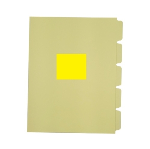 SEPARADOR-5-DIV-AMARILLO