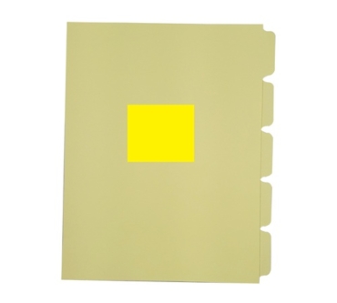SEPARADOR-5-DIV-AMARILLO